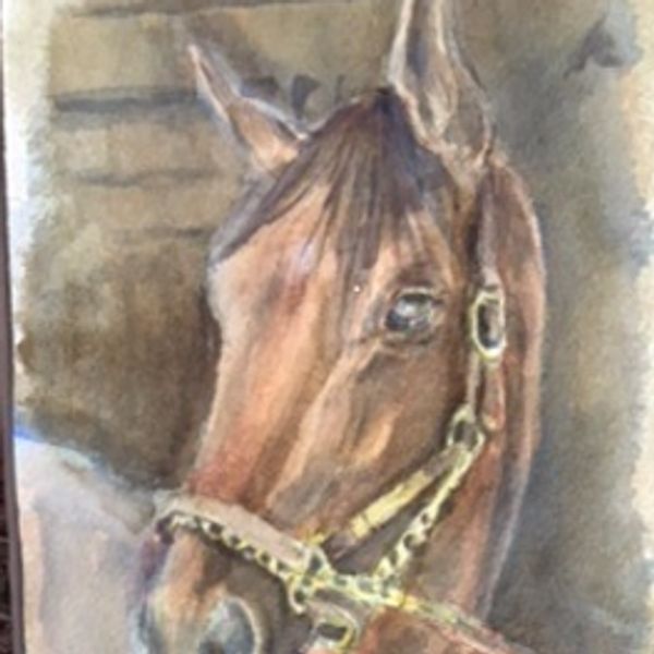 American Pharoah