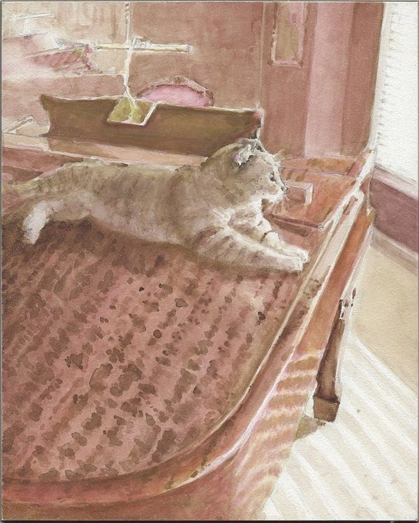 Bobbi Cat