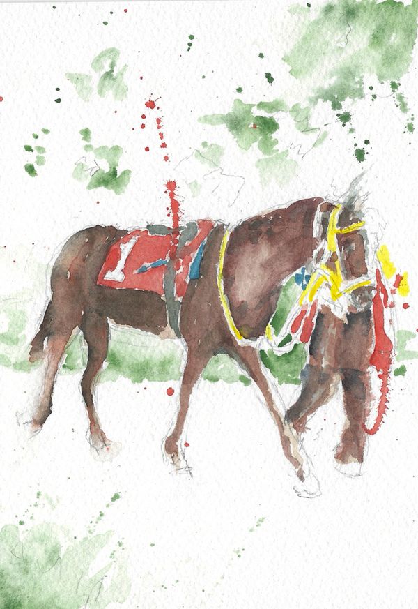Saddle 1