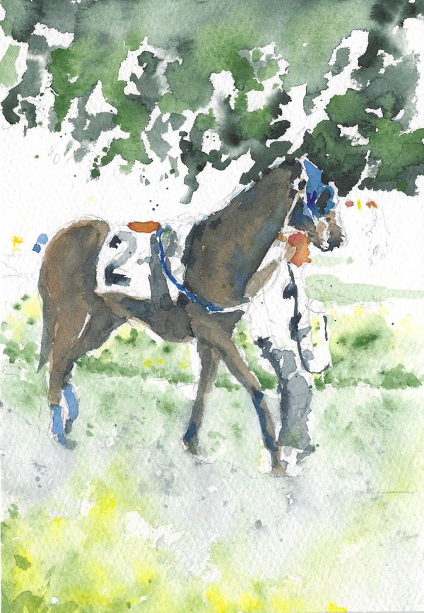 Saddle 2