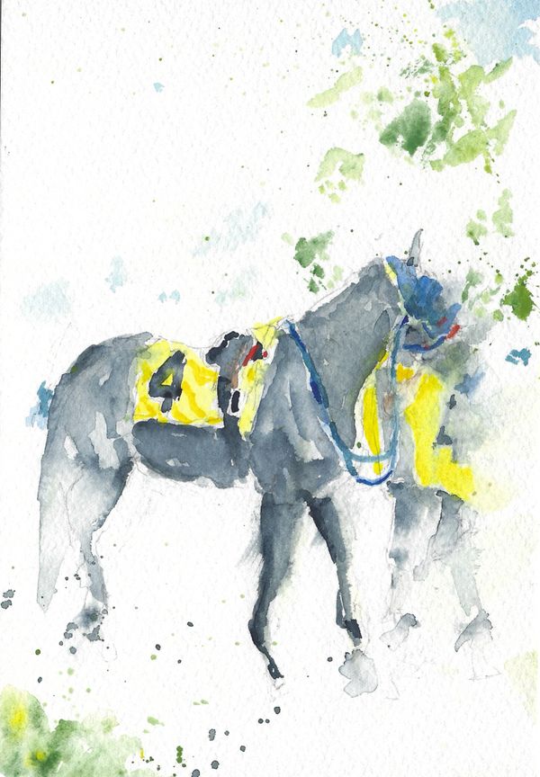 Saddle 4