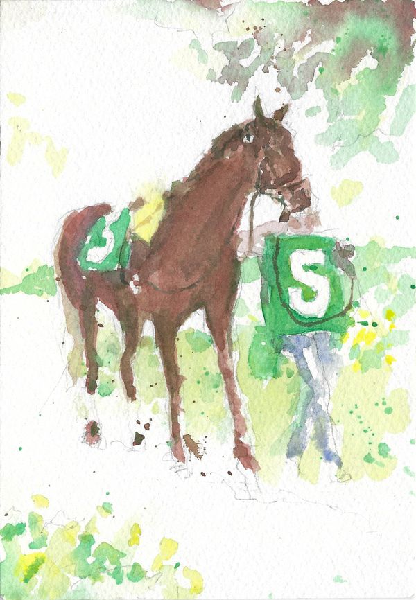 Saddle 5