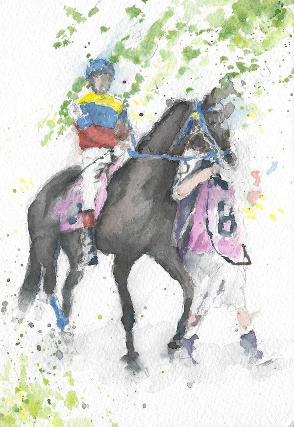 Saddle 8