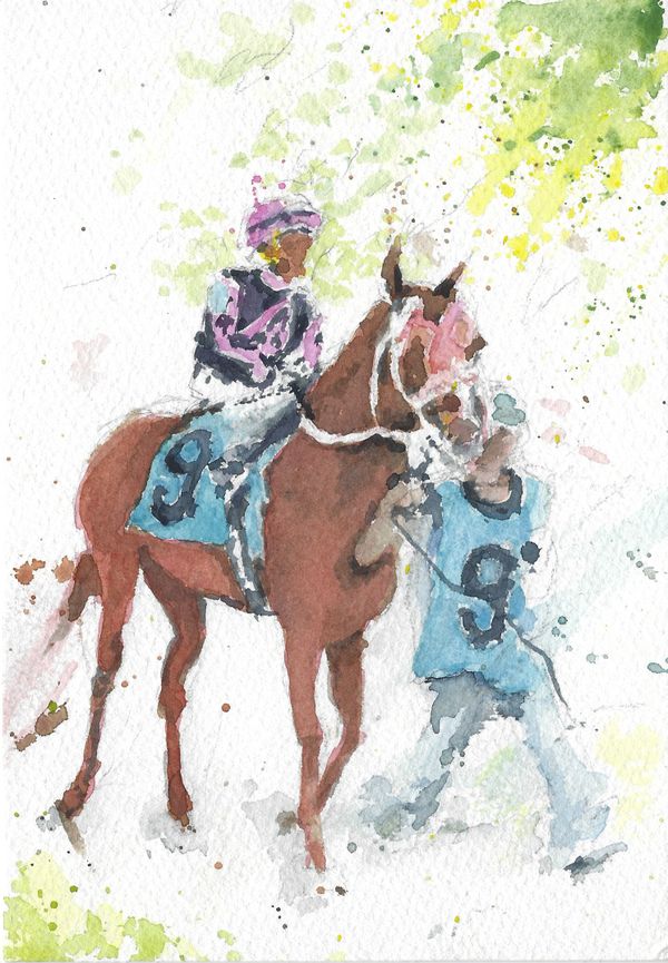 Saddle 9