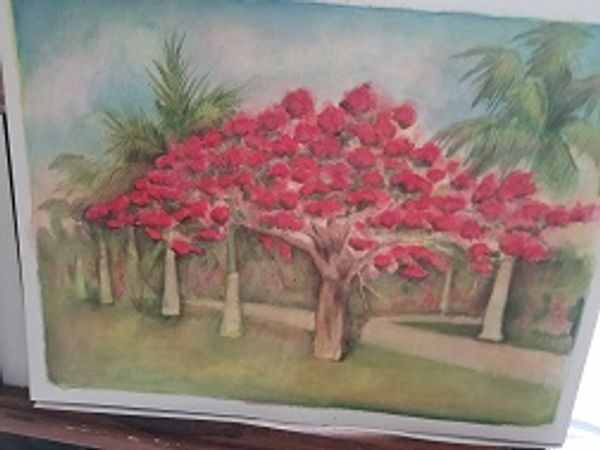 Trees